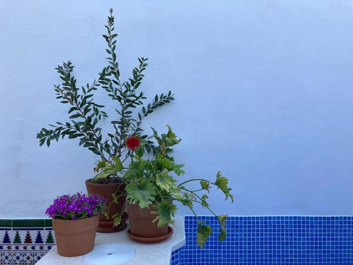 Casa Clemente 32, Private House With Plunge Pool Apartment Malaga Spain