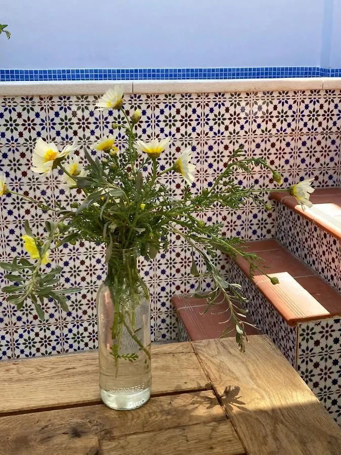 Casa Clemente 32, Private House With Plunge Pool Apartment Malaga Spain