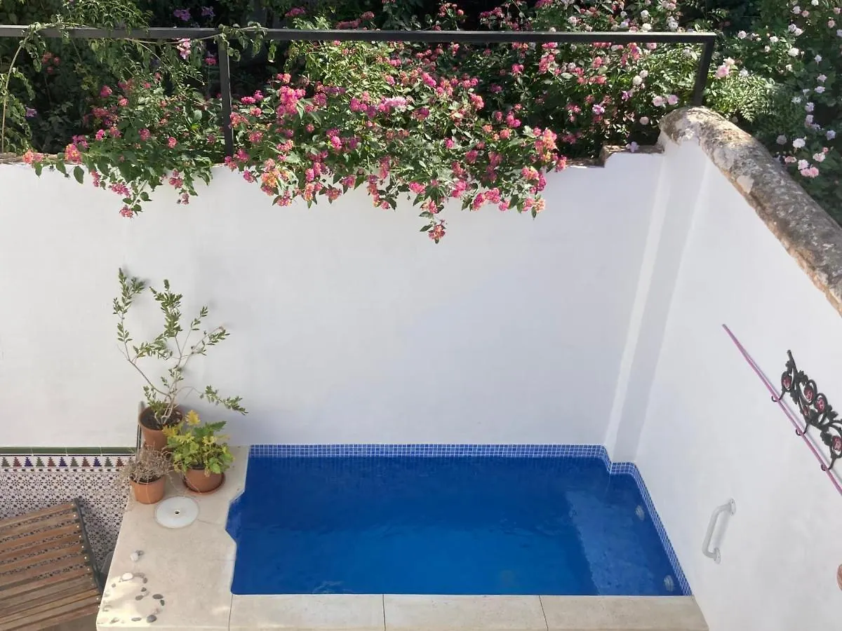 Casa Clemente 32, Private House With Plunge Pool Apartment Malaga